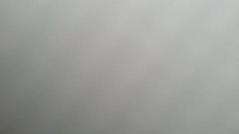 26198