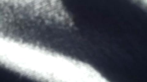 23281